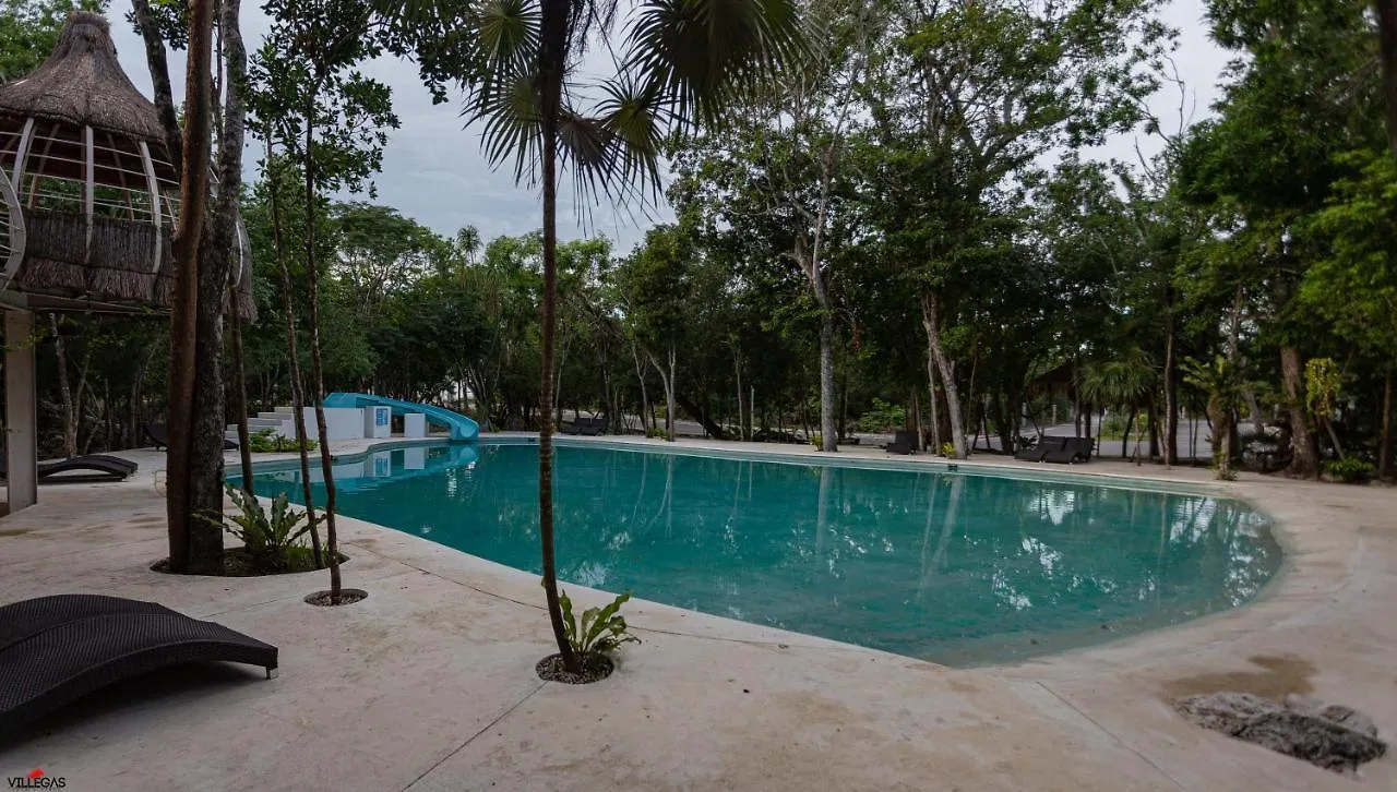 Home In Puerto Morelos 5Bd 7Br Roof Toop Pool Holiday home