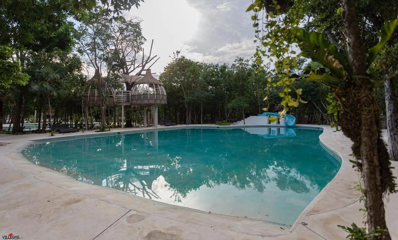 Home In Puerto Morelos 5Bd 7Br Roof Toop Pool 0*,